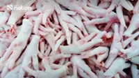 China suspends chicken feet imports from five Thai plants amid origin fraud probe