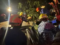DBKL, arborists to probe cause of fatal tree-fall incident on Jalan Tun Razak