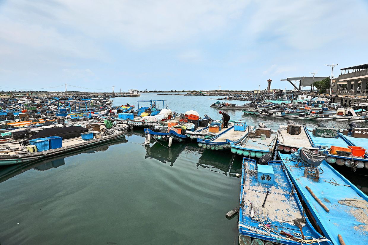 The pier at Luzhugou in Beimen, Tainan, where docked fishing boats create a scenic view of the area.