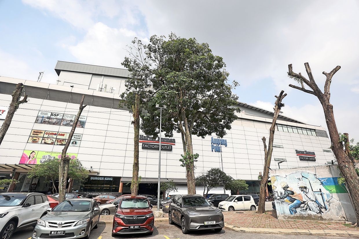 Some of the trees have been heavily pruned around Ampang Point Shopping Centre.