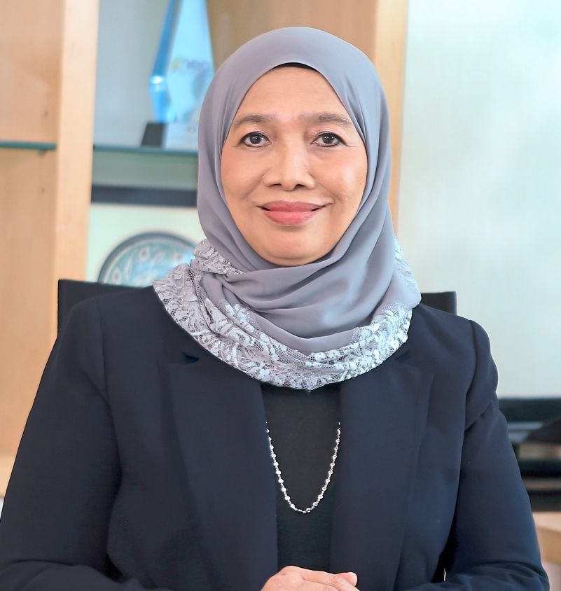 Nik Airina says the VDP expands local SMEs’ customer bases and helps them evolve into specialised solution providers.