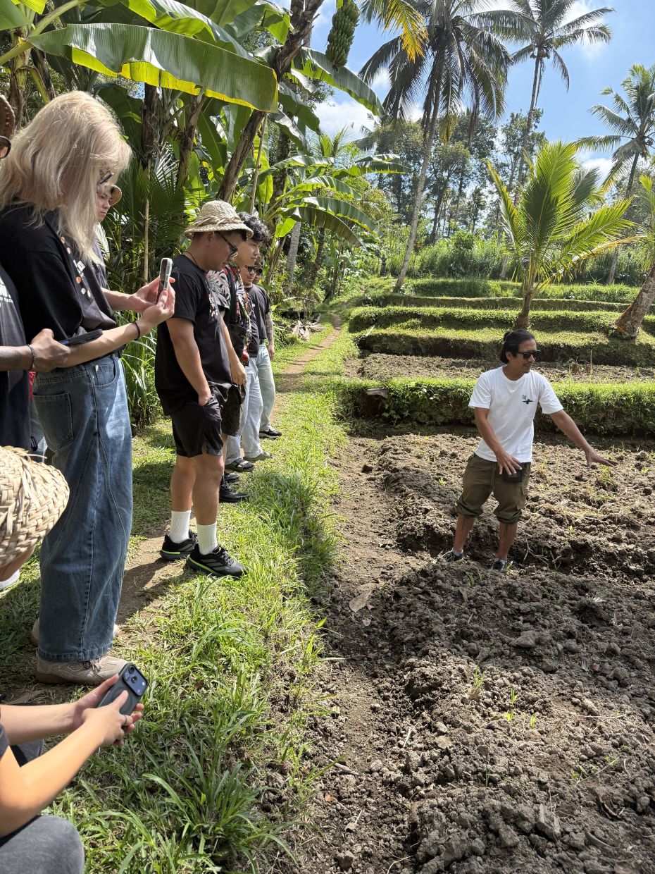 The bartenders learnt about local and native ingredients in Bali.