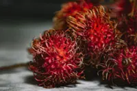QuickCheck: Are rambutan seeds poisonous?