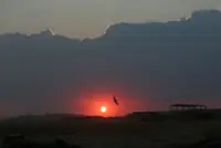 Spain's largest wildfire of the year burns for a fifth day as new heatwave looms
