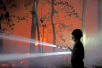 Wildfire puts Fontainebleau, the 'French forest of kings', at risk