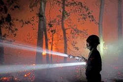 Wildfire puts Fontainebleau, the 'French forest of kings', at risk