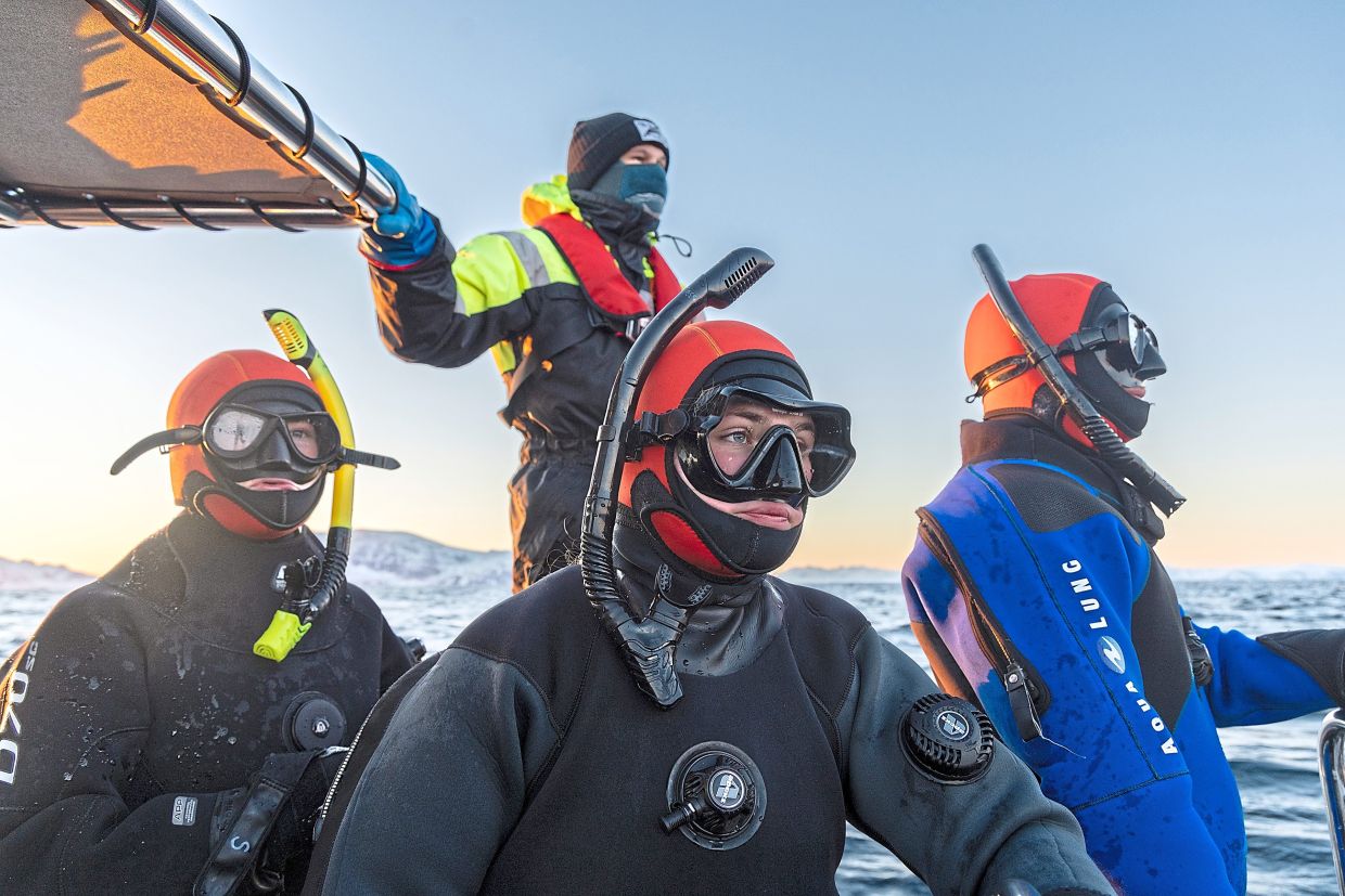 Dutch tourists wait for an opportunity to get in the water with a sperm whale in waters off Skjervoy, Norway, Jan. 23, 2026. Only two places in the world allow tourists to enter the water with the ocean’s apex predator. But the safety of both species is a growing concern. (Meghan Dhaliwal/The New York Times)