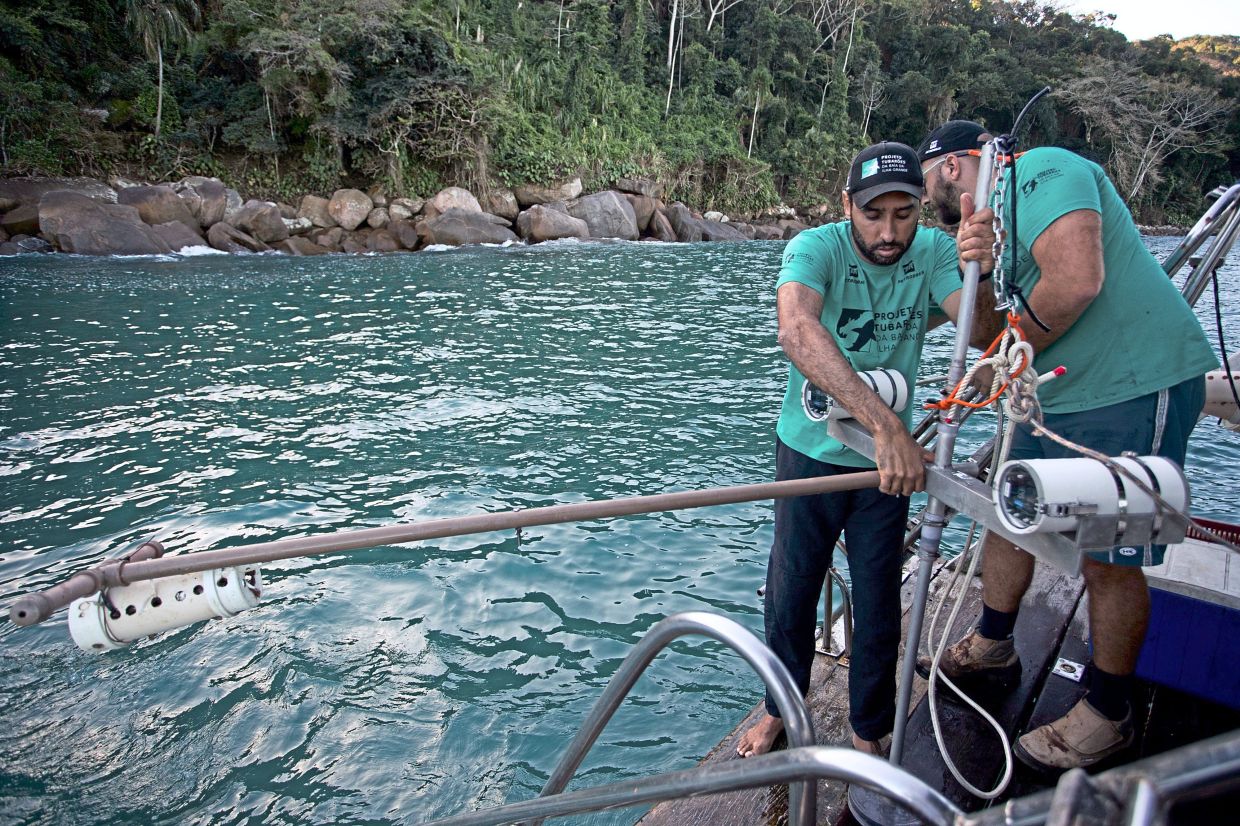 Scientific coordinator Leonardo Mitrano Neves, left, and field and logistics coordinator Daniel Shimada Brotto retrieve a Baited Remote Underwater Video System during monitoring as part of a shark project in Ilha Grande Bay.