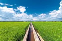 Growing resilience through science