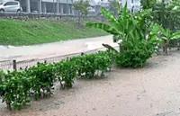 ‘Permanent solution to flood issue in PJ needed’