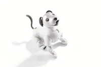 Sony to lend aibo to two university laboratories for research and development