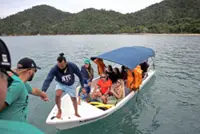 Brazilian bay’s surprise shark nursery sparks conservation project