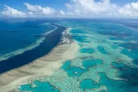 Great Barrier Reef at risk of 'collapse', scientists warn