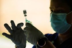 India approves first dengue vaccine for people aged four to 60