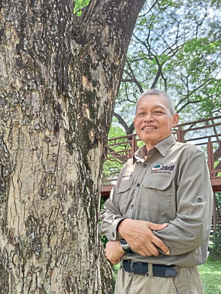 Mohd Zailani: When we lose an old tree, we lose a living asset.