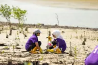 Global enterprise delivers help to restore mangroves