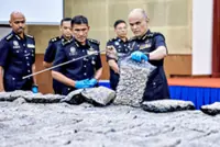 Seven cannabis mules arrested at KLIA