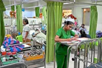 Armed forces to fight dengue