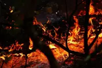 Fast-moving wildfire in southern France forces hundreds to flee