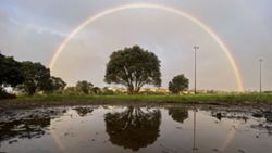 New Zealand greenhouse gas emissions fall for 4th straight quarter