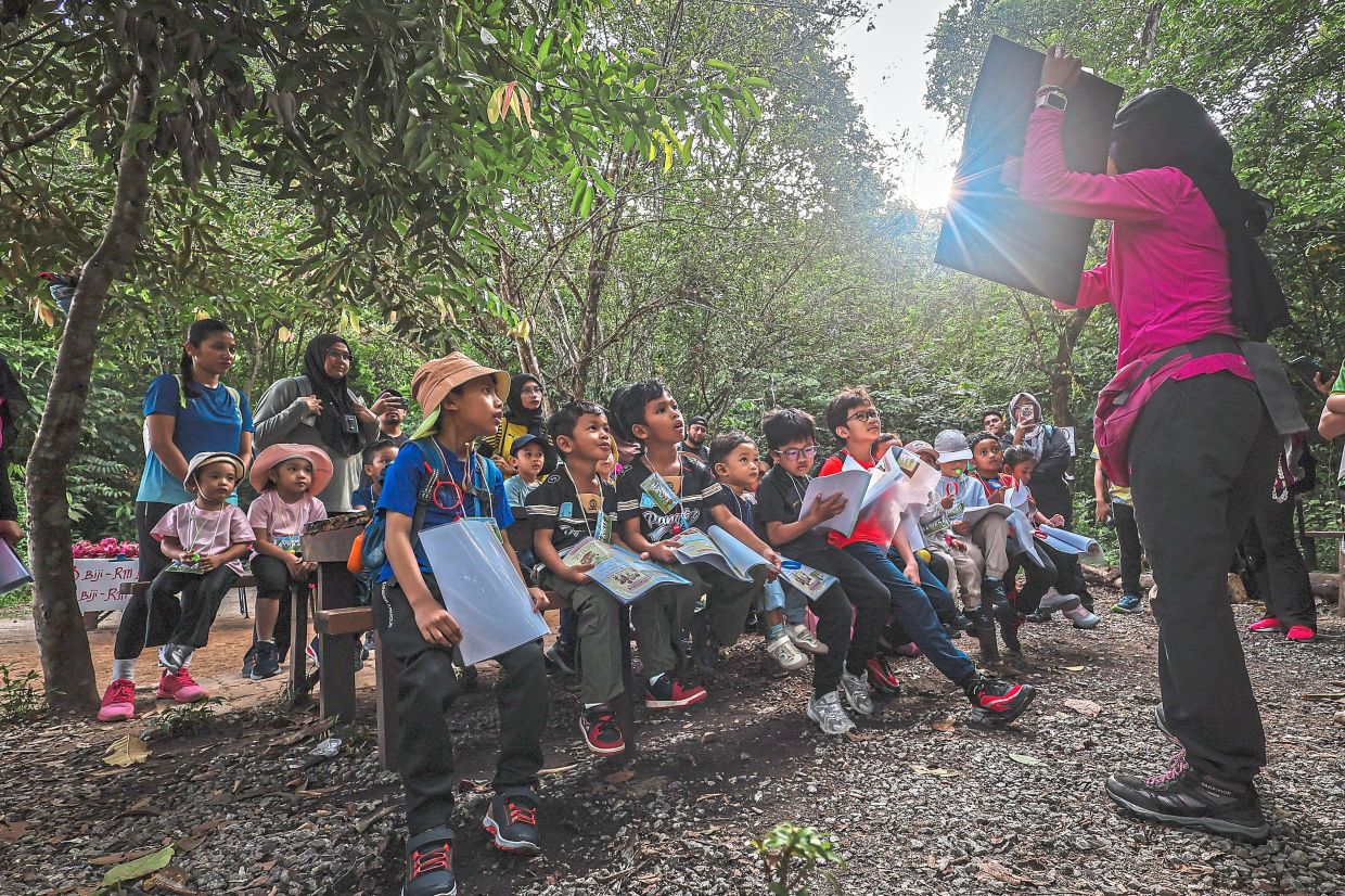 Participants learning about nature and the environment as Farah Zahira leads the Toddlers Forest Exploration event. 