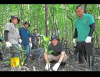 Mangrove project boosts coastal protection at Tanjung Piai
