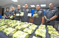 Teen dropout arrested in drug bust
