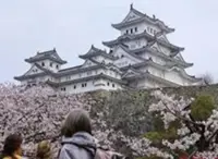 Kyoto tourism hits record 62.8 million visitors in 2025, including 12.7 million from overseas