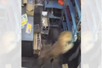 Leopard barges into liquor store in India, mauls worker in terrifying video