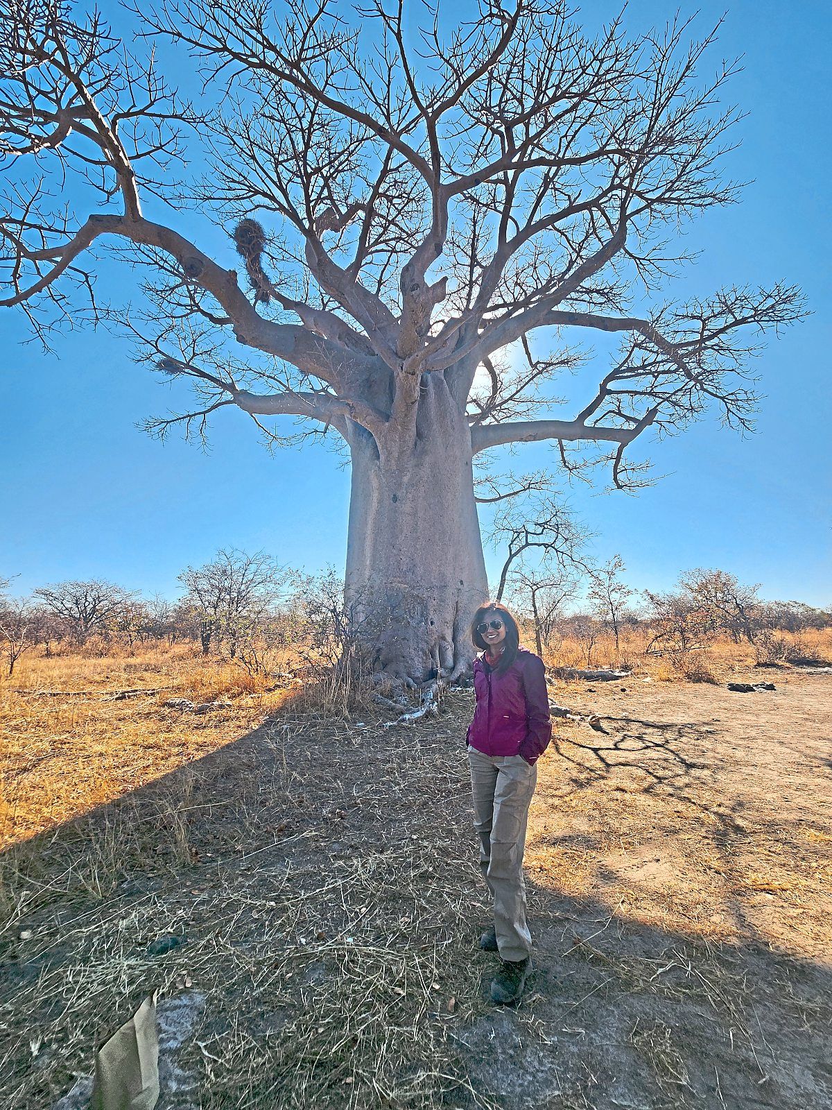 The writer with a giant Baobab tree.