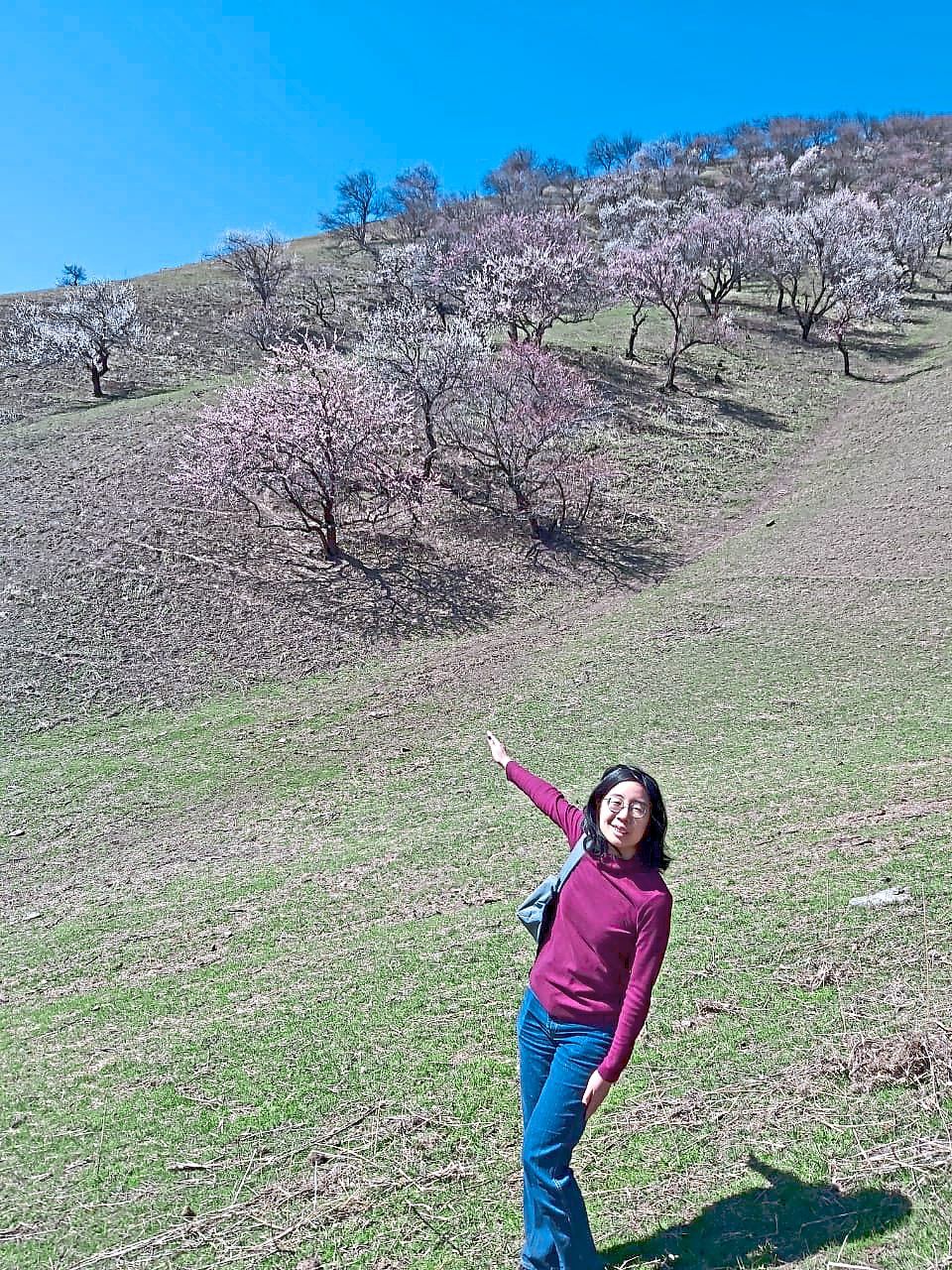 Visit the Turgen Apricot Valley in spring to see the blossoms.