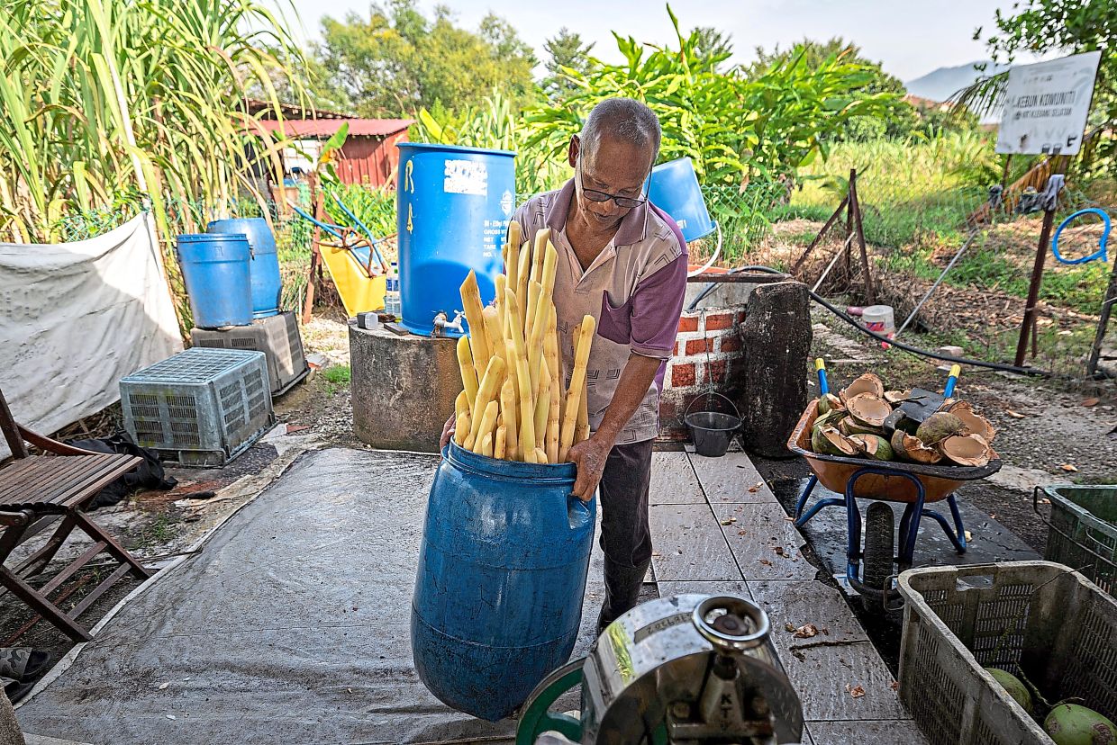 Abdul Razak with the harvested crop to make sugarcane juice and bottle it for sale.