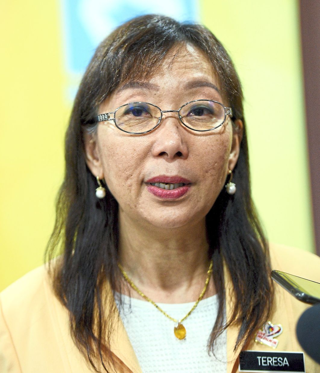Kok says government land is a national asset that needs to be managed prudently.