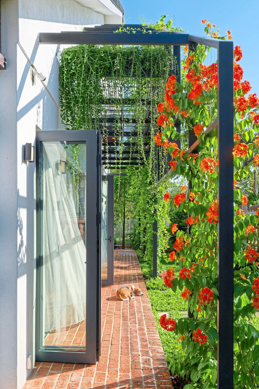 The side of the house features cascading plants, with doors promoting cross ventilation.