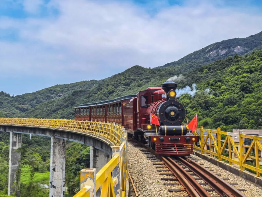 The forest train at the OCT East Tea Valley in Shenzhen, Guangdong offers open view to the natural scenery in the resort. - Photo: WeChat