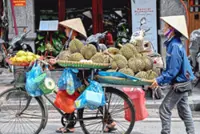 Hanoi steps up exports to achieve US$550bil target
