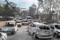 Lessons from the ashes