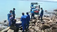 QuickCheck: Did a dead dolphin wash ashore at Penang's Esplanade?