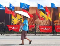 QuickCheck: Did an elderly man vandalise campaign flags in Seremban?