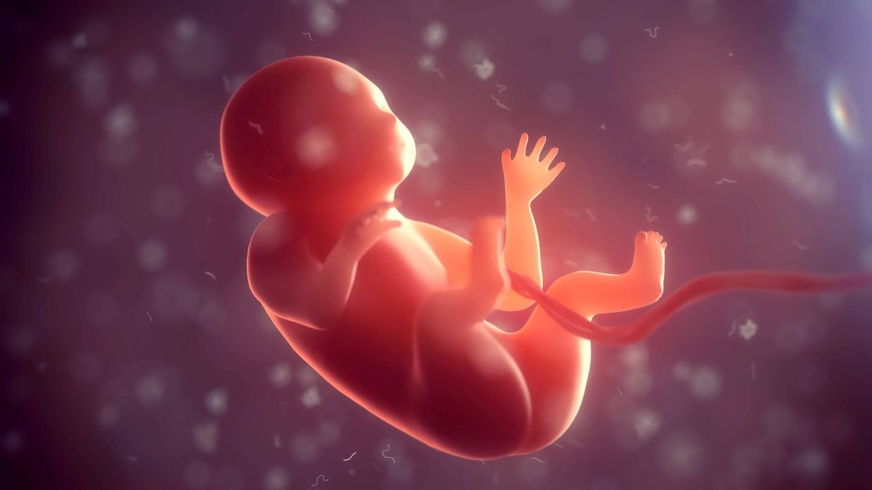 Chinese scientists have bad news on having babies in space ...