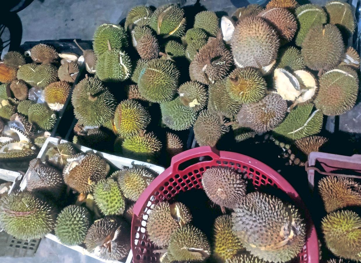 Split but perfectly edible durians that can no longer be sold at retail are still good for cooking. — Photos: Handouts
