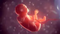Chinese scientists have bad news on having babies in space. But there is a silver lining