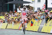 Cycling-Ecuadorian Carapaz wins 20th stage of Tour de France