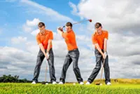 Sweep your fairwoods away