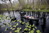 Georgia's Okefenokee Swamp among new additions to join UNESCO's World Heritage List