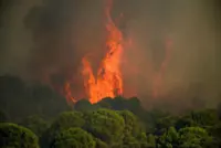 Wildfires threaten Bordeaux as France and Spain battle blazes