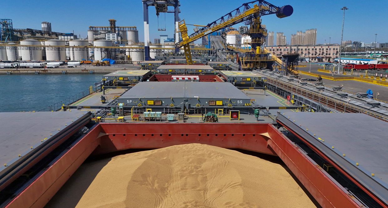 Brazil widens lead in China’s soybean market as US shipments fall despite Trump-Xi deal