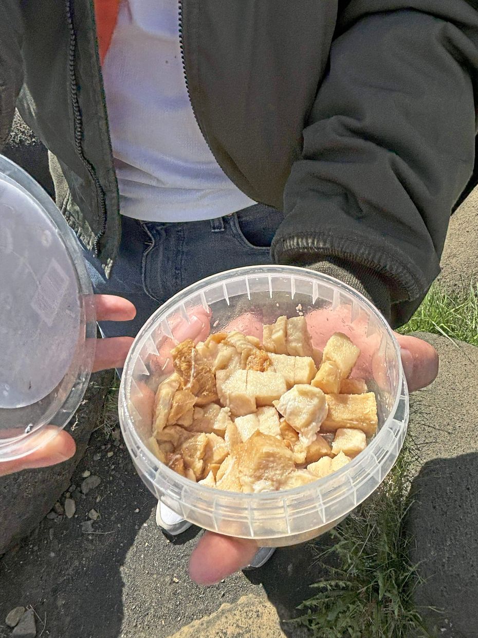 Fermented shark, or hakarl, is one of Iceland’s most infamous delicacies, but only if you can stomach its pungent aroma.