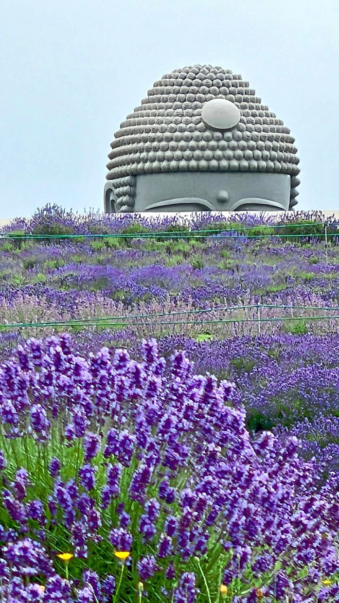 In recent years, Japan’s iconic architecture and scenic floral landscapes, like Tadao Ando’s Hill of the Buddha masterpiece, have become favourites among many travellers.