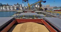 Brazil widens lead in China’s soybean market as US shipments fall despite Trump-Xi deal